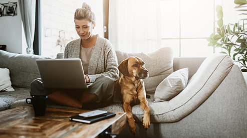 Mujer, en, computador portatil, en, sofá, con, perro